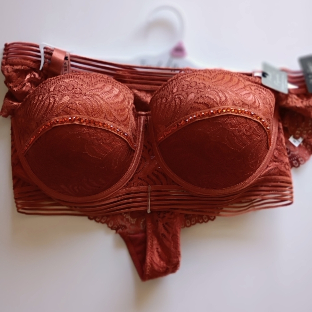 Elegant Lace Rust Bra and Panty Set